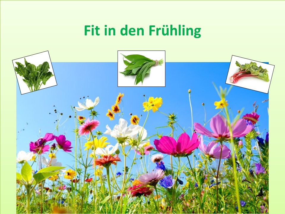 03 Fit Frühling